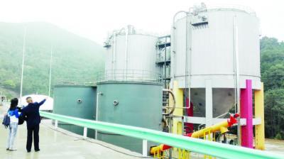 殘湯剩菜變廢為寶 從廚余垃圾到有機肥、沼氣與化工原料的綠色循環